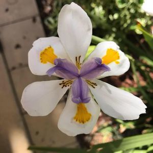 Meet your Posher, Lynne